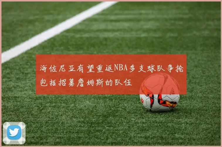 海佐尼亚有望重返NBA多支球队争抢包括招募詹姆斯的队伍
